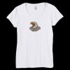 Bella Women's V-Neck T-Shirt Thumbnail