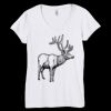 Bella Women's V-Neck T-Shirt Thumbnail