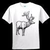 Gildan Ultra Cotton Youth 100% Cotton T Shirt Thumbnail